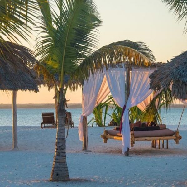 Short safari in Tanzania and Zanzibar Island
